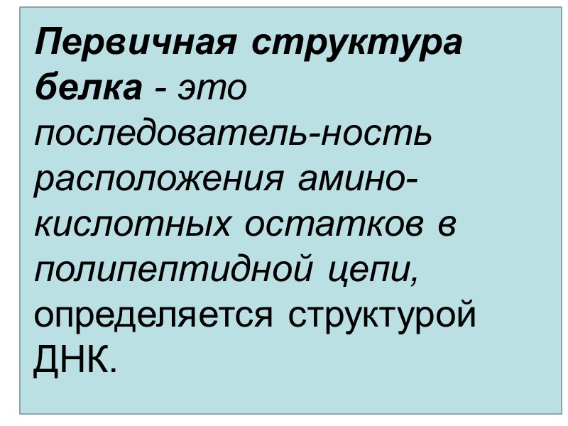 Первичная структура белка - это последователь-ность расположения амино-кислотных остатков в полипептидной цепи,  